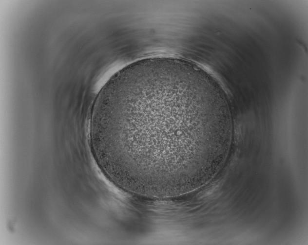 X0000100231383200806061358