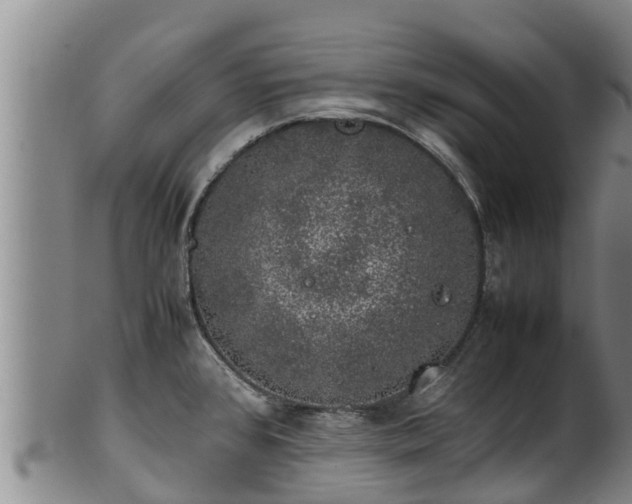 X0000100231384200806061358