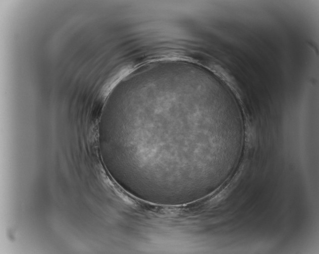 X0000100231385200806061358