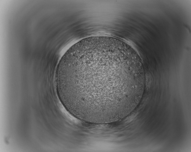 X0000100231387200806061358