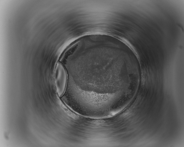 X0000100231388200806061358