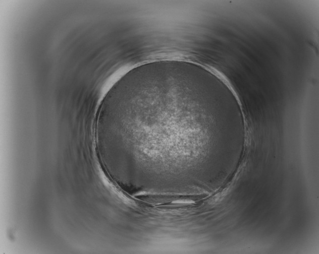 X0000100231389200806061358