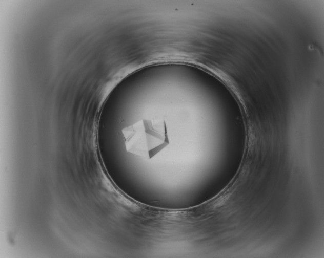 X0000100231390200806061358