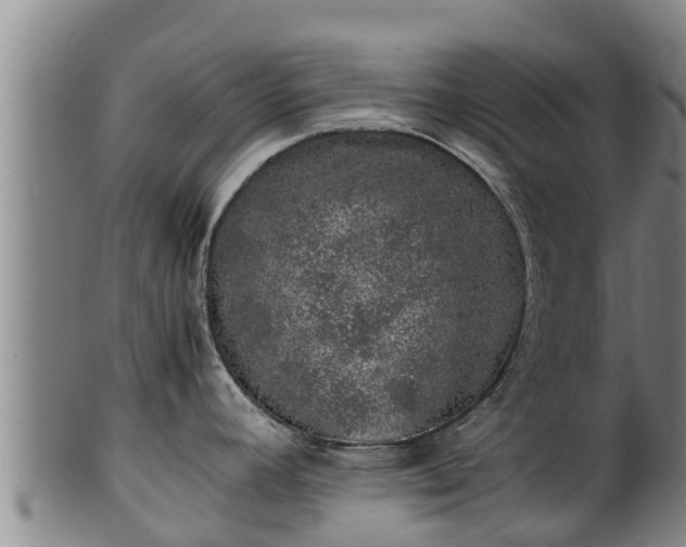 X0000100231392200806061358