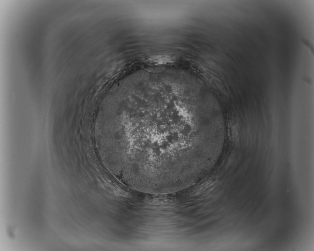 X0000100231393200806061357