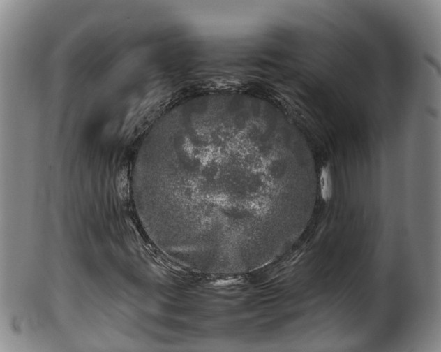 X0000100231395200806061357