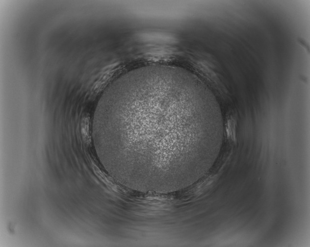 X0000100231396200806061357