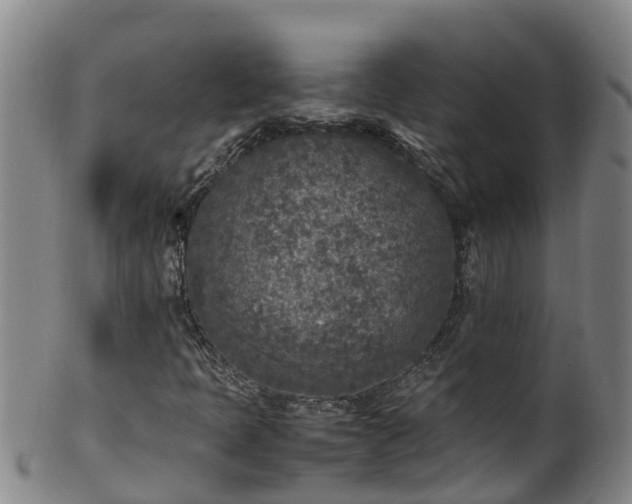 X0000100231397200806061357