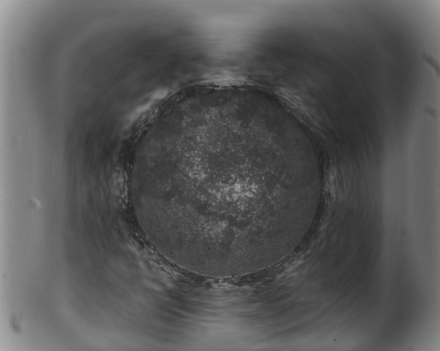 X0000100231398200806061357