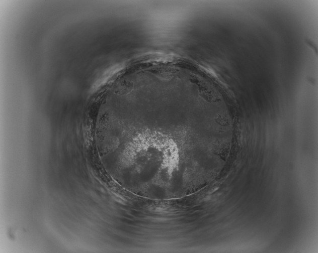 X0000100231399200806061357