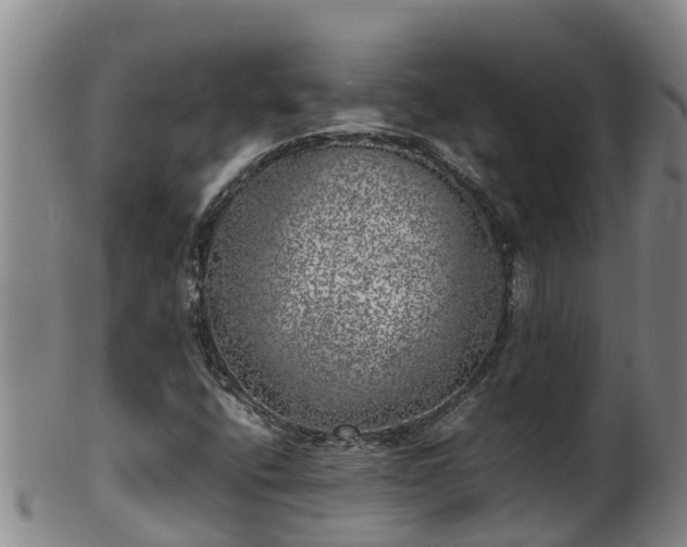 X0000100231400200806061357