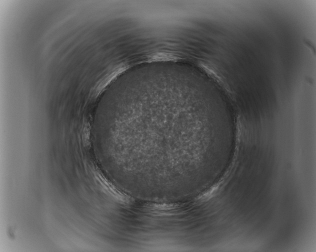 X0000100231401200806061357