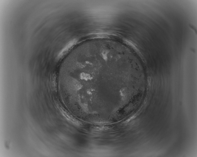 X0000100231403200806061357