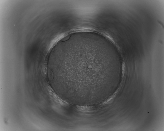 X0000100231405200806061357