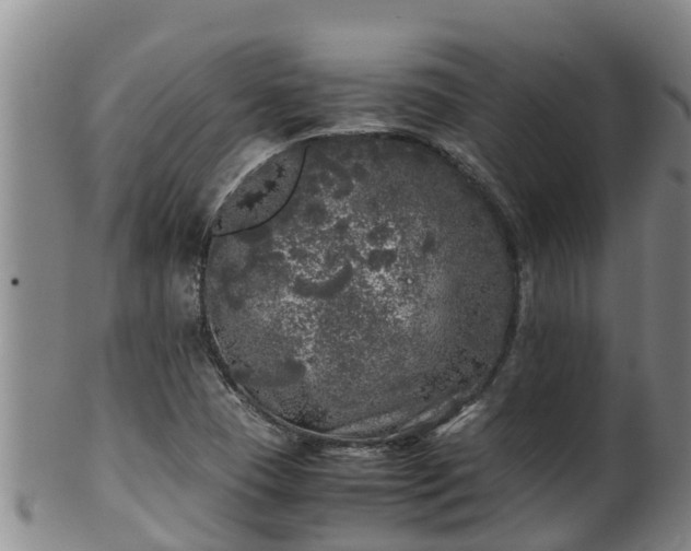 X0000100231409200806061357