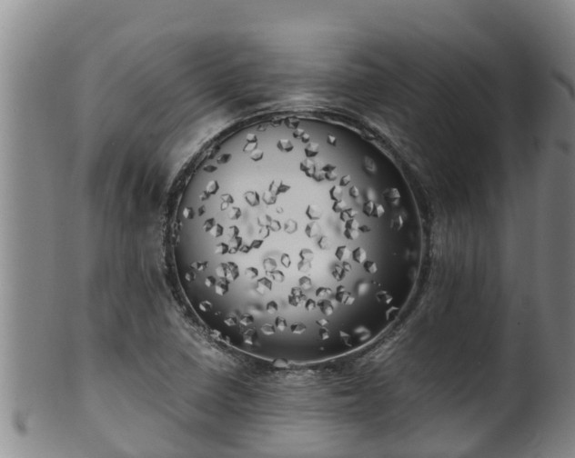 X0000100231410200806061358