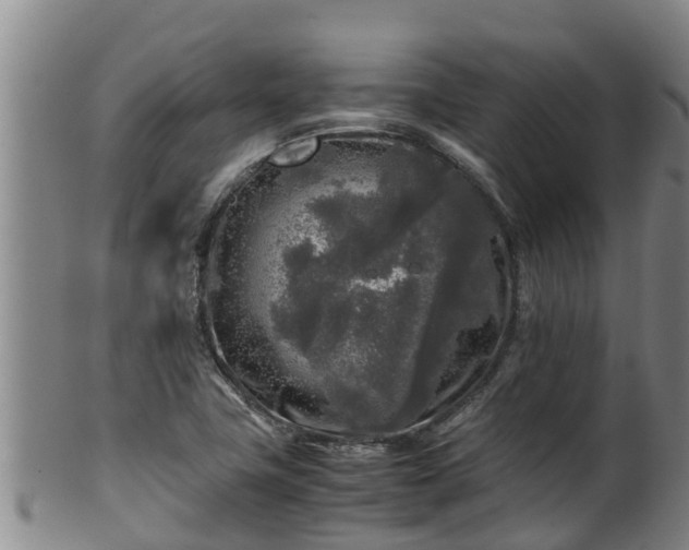 X0000100231411200806061358