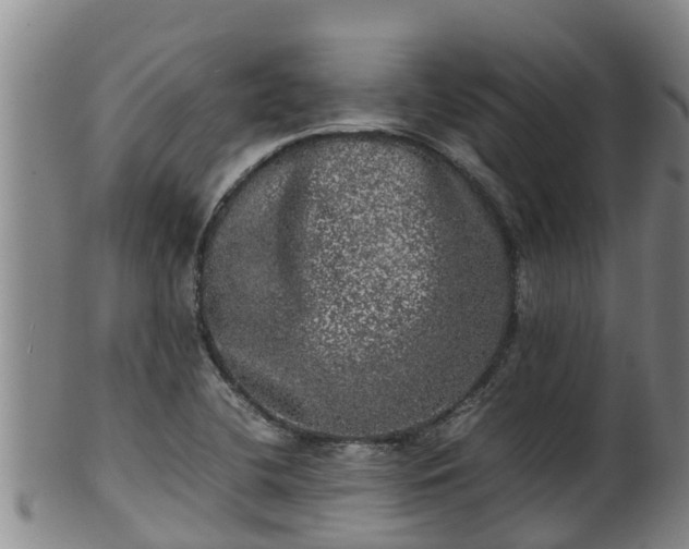 X0000100231412200806061358