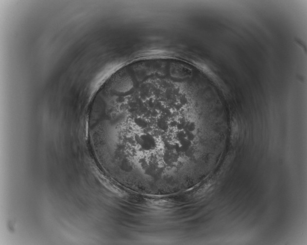 X0000100231413200806061358