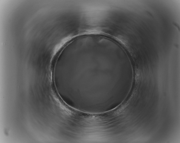 X0000100231414200806061358