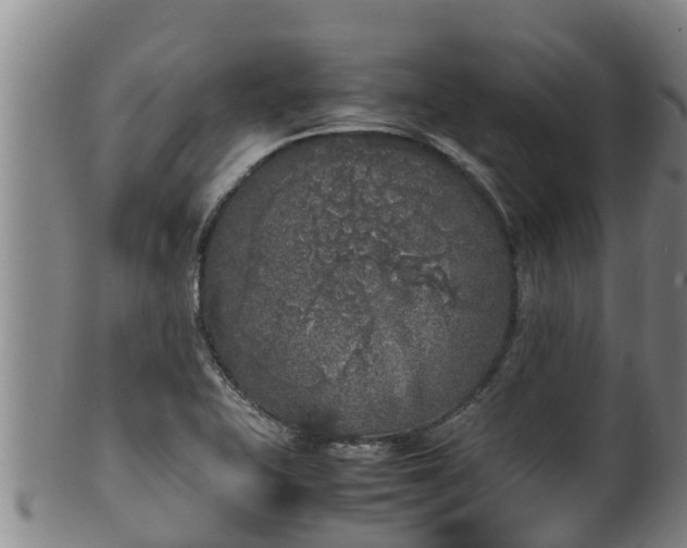 X0000100231415200806061358