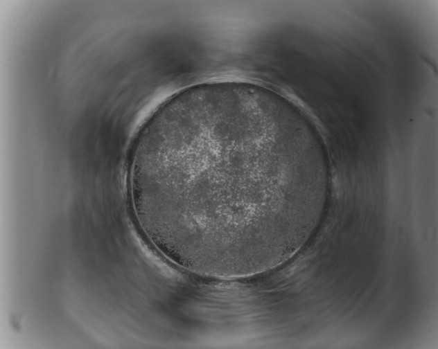 X0000100231416200806061358