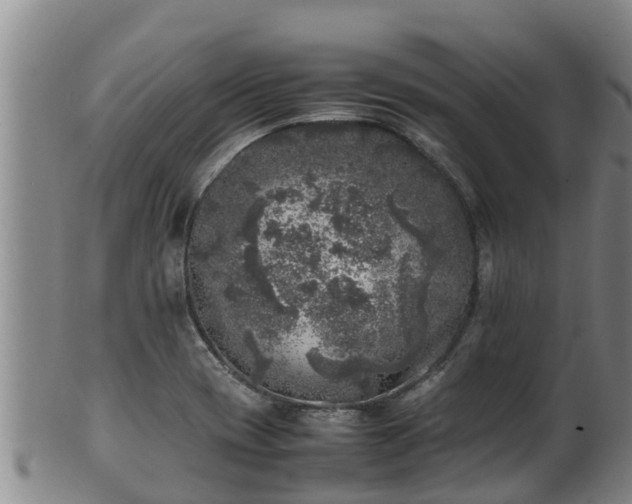 X0000100231417200806061358