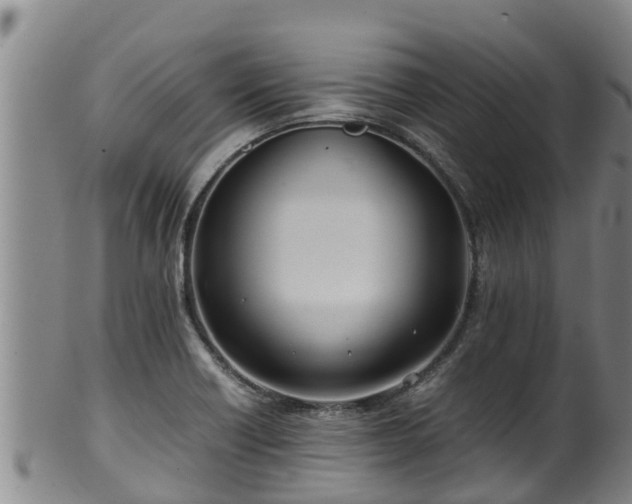 X0000100231418200806061358