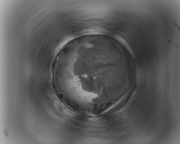 X0000100231419200806061358