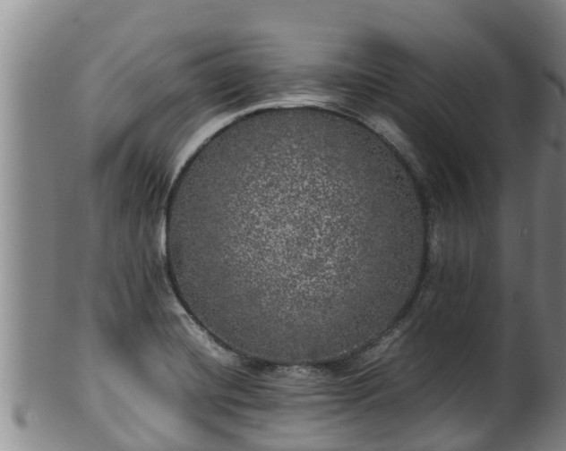 X0000100231420200806061358