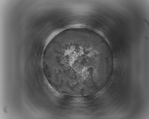 X0000100231421200806061358