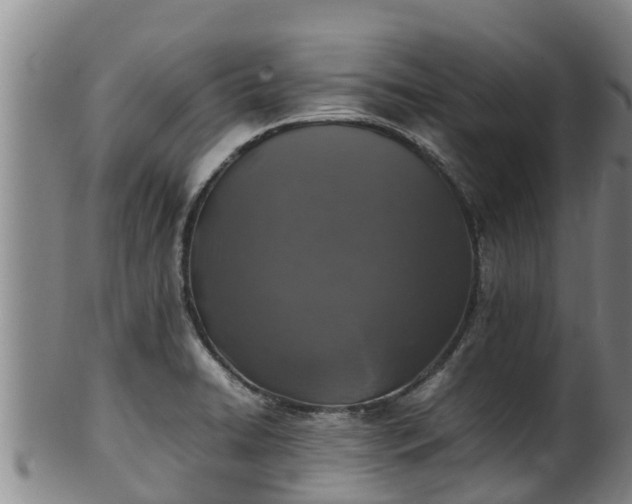 X0000100231422200806061358