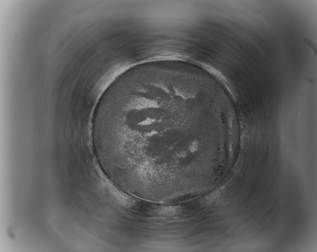 X0000100231423200806061358