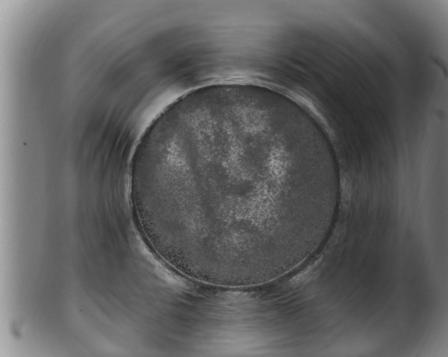 X0000100231424200806061358