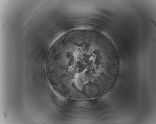 X0000100231425200806061358