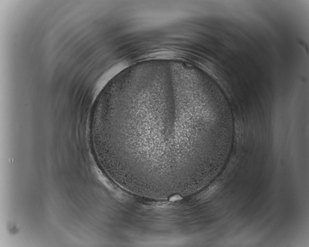 X0000100231426200806061358