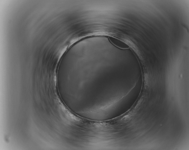 X0000100231428200806061358