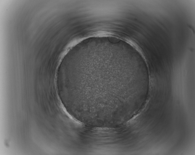 X0000100231429200806061358