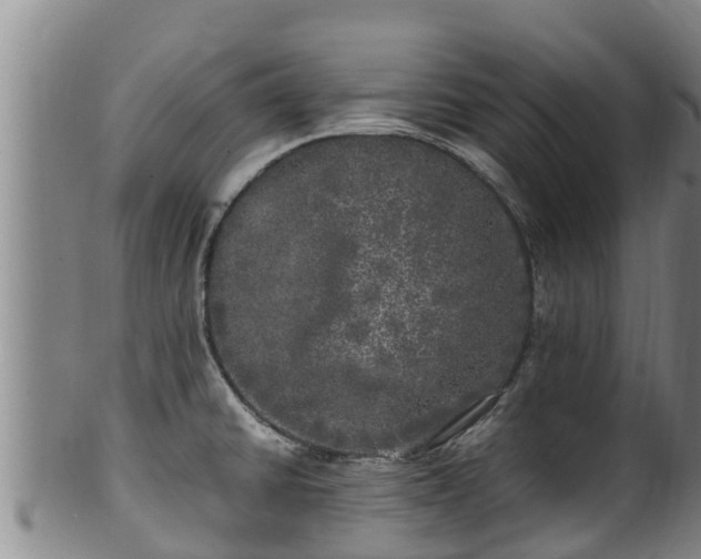 X0000100231430200806061358