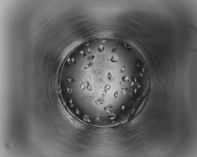 X0000100231434200806061358