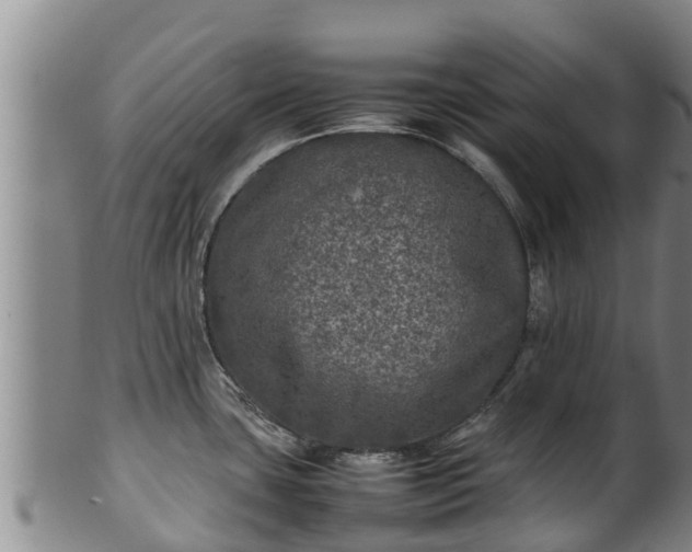 X0000100231435200806061358