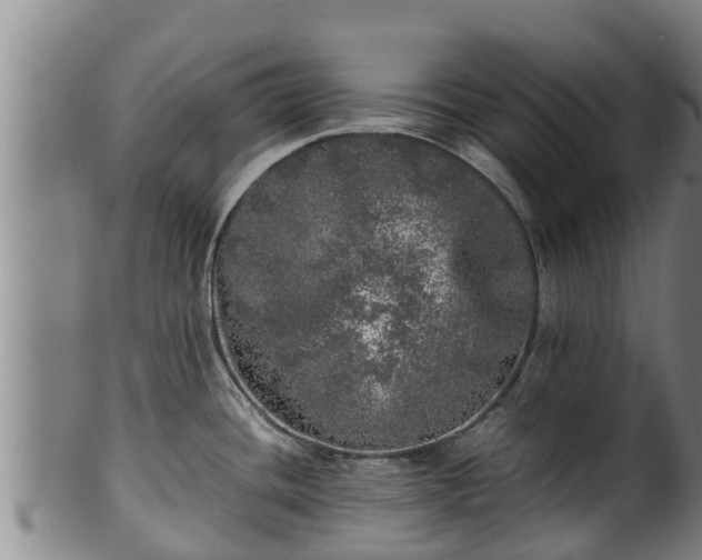 X0000100231436200806061358