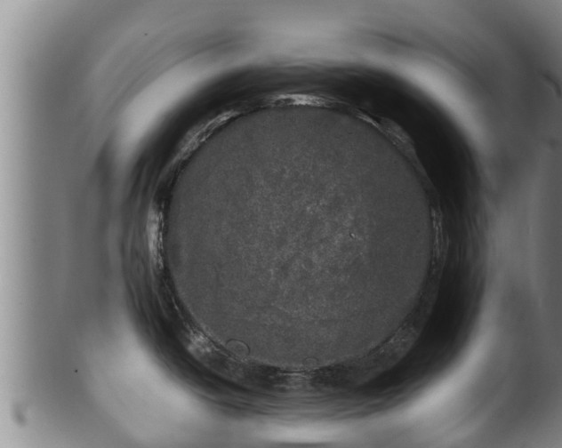 X0000100231438200806061358