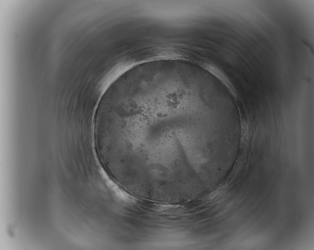 X0000100231439200806061358