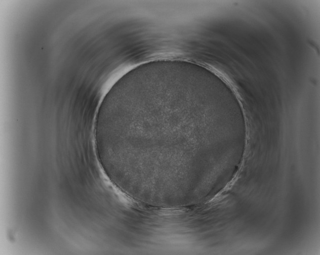 X0000100231440200806061358