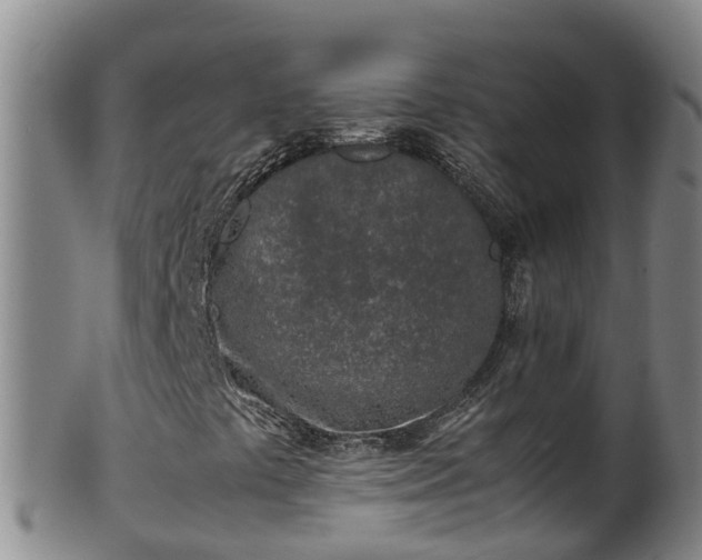 X0000100231441200806061357