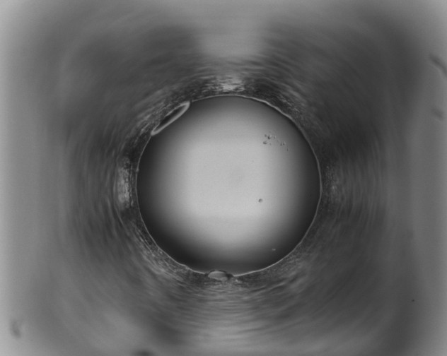 X0000100231442200806061357