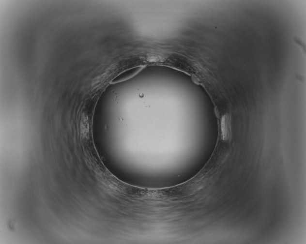 X0000100231443200806061357