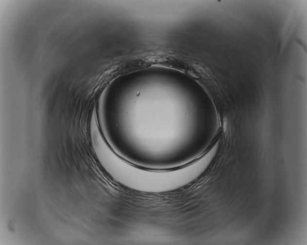 X0000100231444200806061357