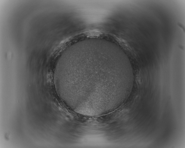 X0000100231445200806061357